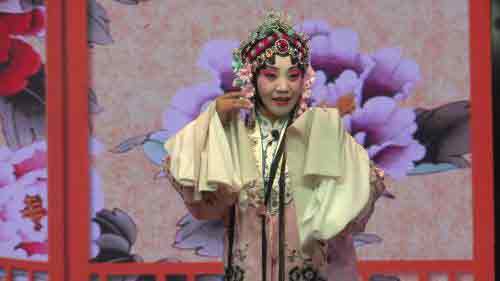 豫剧全场戏河南豫剧团演唱