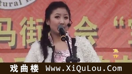 河南豫剧民间小调精选集
