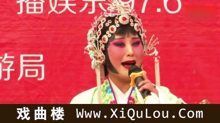 豫剧经典选段戏迷演唱100首