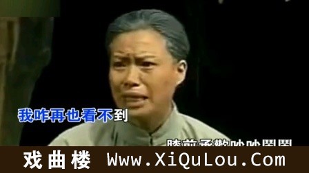 豫剧板胡伴奏100首