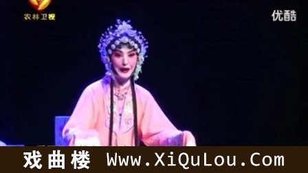 秦腔名家全本戏