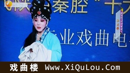 秦腔名人名段演唱晚会
