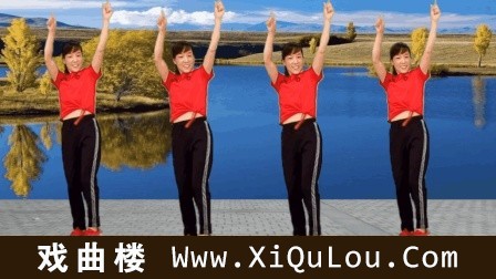 简单好学的广场舞视频