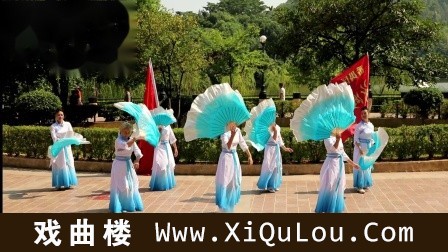 中老年舞蹈视频大全