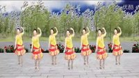 广场舞歌曲大全2016流行歌曲广场舞mp3