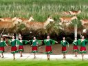 纯艺舞吧广场舞舞队2015最新广场舞