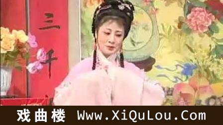 安徽庐剧大全全集视频第四部
