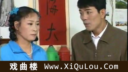 安徽庐剧大全吴南野全集