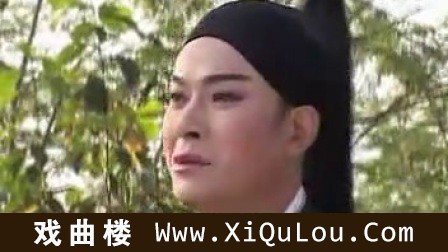 庐剧大全昂小红王小五庐剧视频专辑