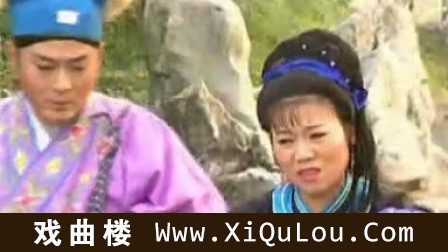 庐剧MP3大全