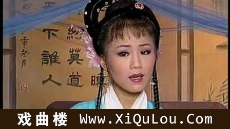 现代安徽庐剧大全全集