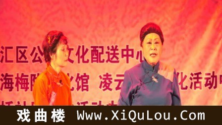 上海沪剧名家名段欣赏
