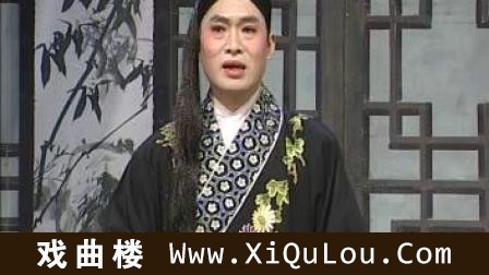 安徽庐剧大全全集视频第一部