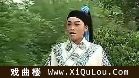 河南山东琴书大全免费全集
