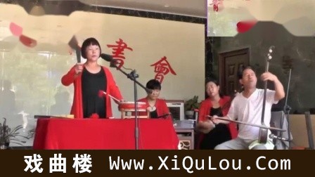 河南豫东琴书范芝云琴书