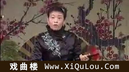 徐州琴书大全视频