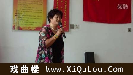 评剧经典唱段大全戏迷演唱