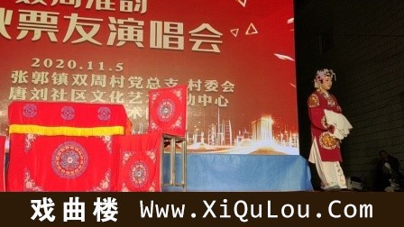 淮剧票友演唱的经典淮剧