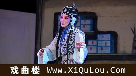 江苏淮剧与扬剧表演大全