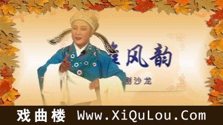 经典优秀淮剧唱段大全
