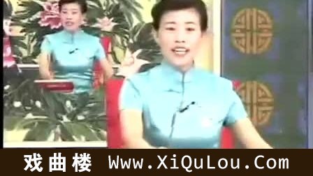 河南大鼓书视频完整版
