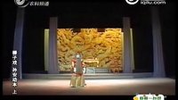 山东柳子戏视频全集