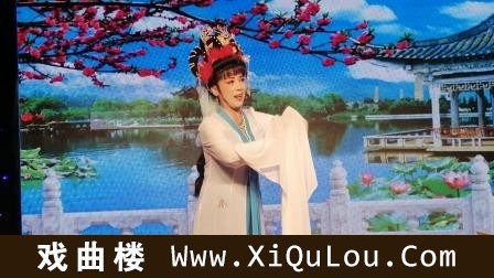 连云港淮海戏大全