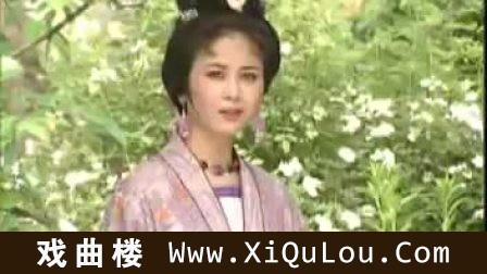 绍剧经典全集