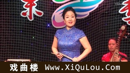 上党鼓书王海燕全集