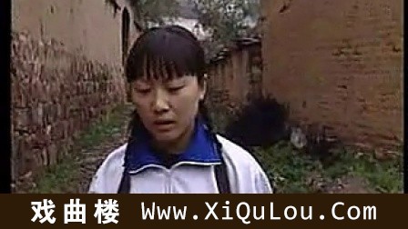 潞安鼓书全集长治上党