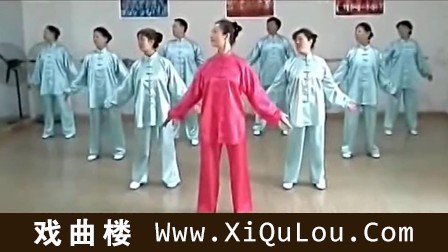 健身气功大舞教学视频