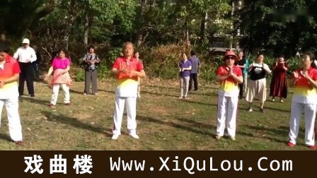 太极十二拍视频全套