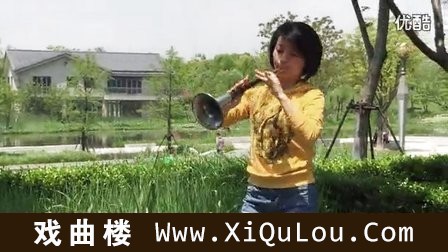 河南唢呐视频全集