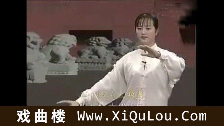 吴阿敏24式太极拳分解教学