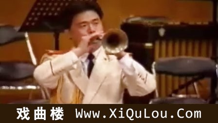 唢呐名曲欣赏独奏mp3
