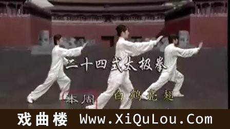 太极拳24式视频教学高清