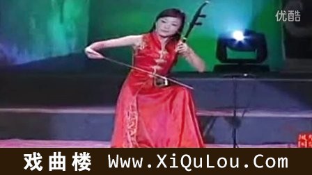 二胡名曲100首欣赏视频
