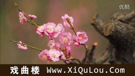 中国经典葫芦丝独奏曲精选