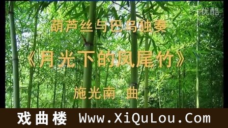 葫芦丝演奏曲集36首