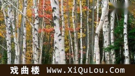 口琴曲集108首