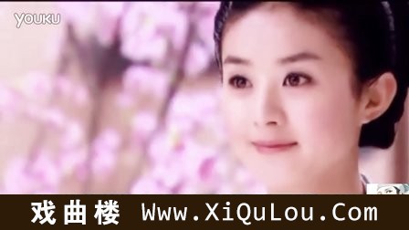 古装美女古筝笛子二胡名曲独奏