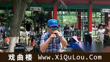 口琴演奏经典老歌80首
