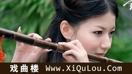 笛子独奏曲教学练习示范