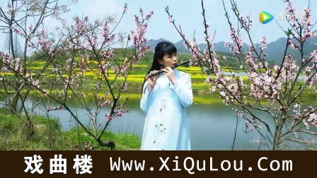 最好听的笛子独奏曲100首名曲欣赏