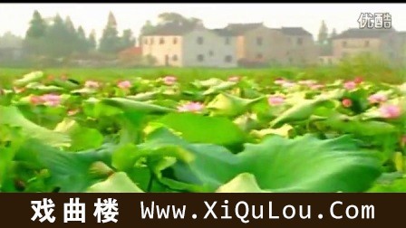 笛子独奏流行歌曲大全