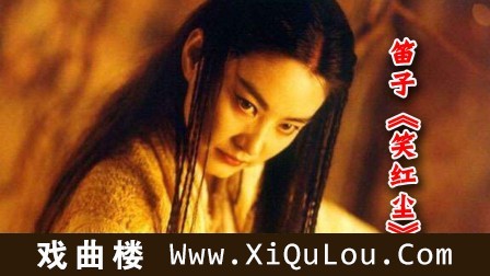 经典老歌笛子独奏大全