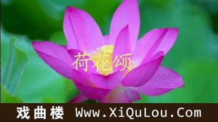 直笛独奏经典老歌100首