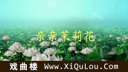 巴乌独奏名曲100首