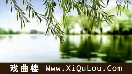 巴乌独奏曲大全