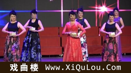 中老年舞蹈合唱大全集